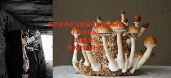 первитин Медногорск
