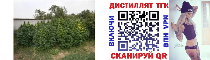 ТГК вейп  где найти наркотики  Хабаровск 