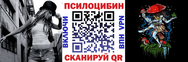Псилоцибиновые грибы Psilocybine cubensis  купить закладку  Хабаровск 